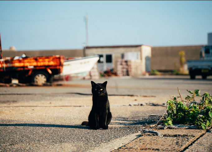 カメラを片手に五島へ！旅人フォトグラファープロジェクト始動！-1