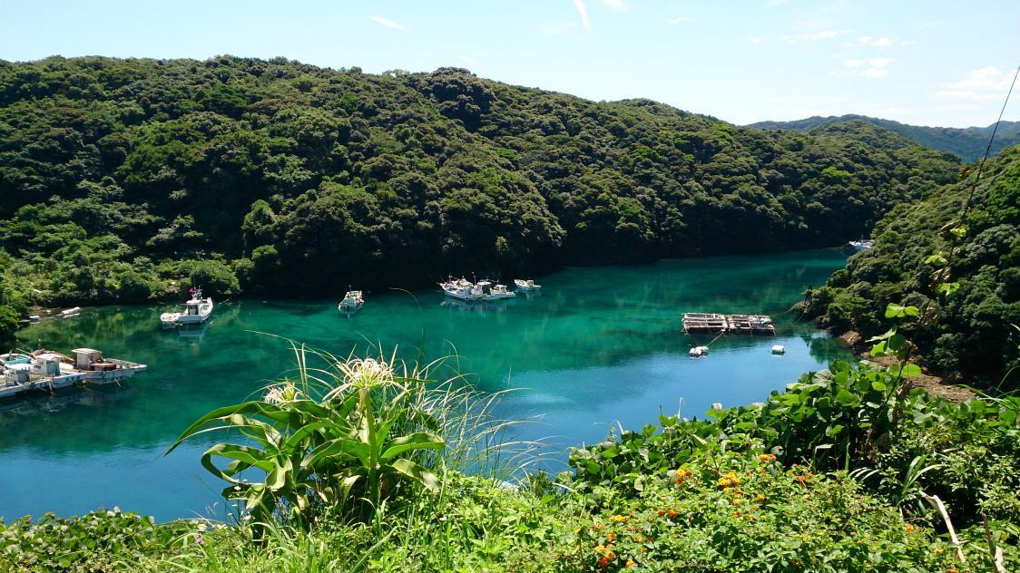 のぞき込みたくなる、エメラルドグリーンの海-1