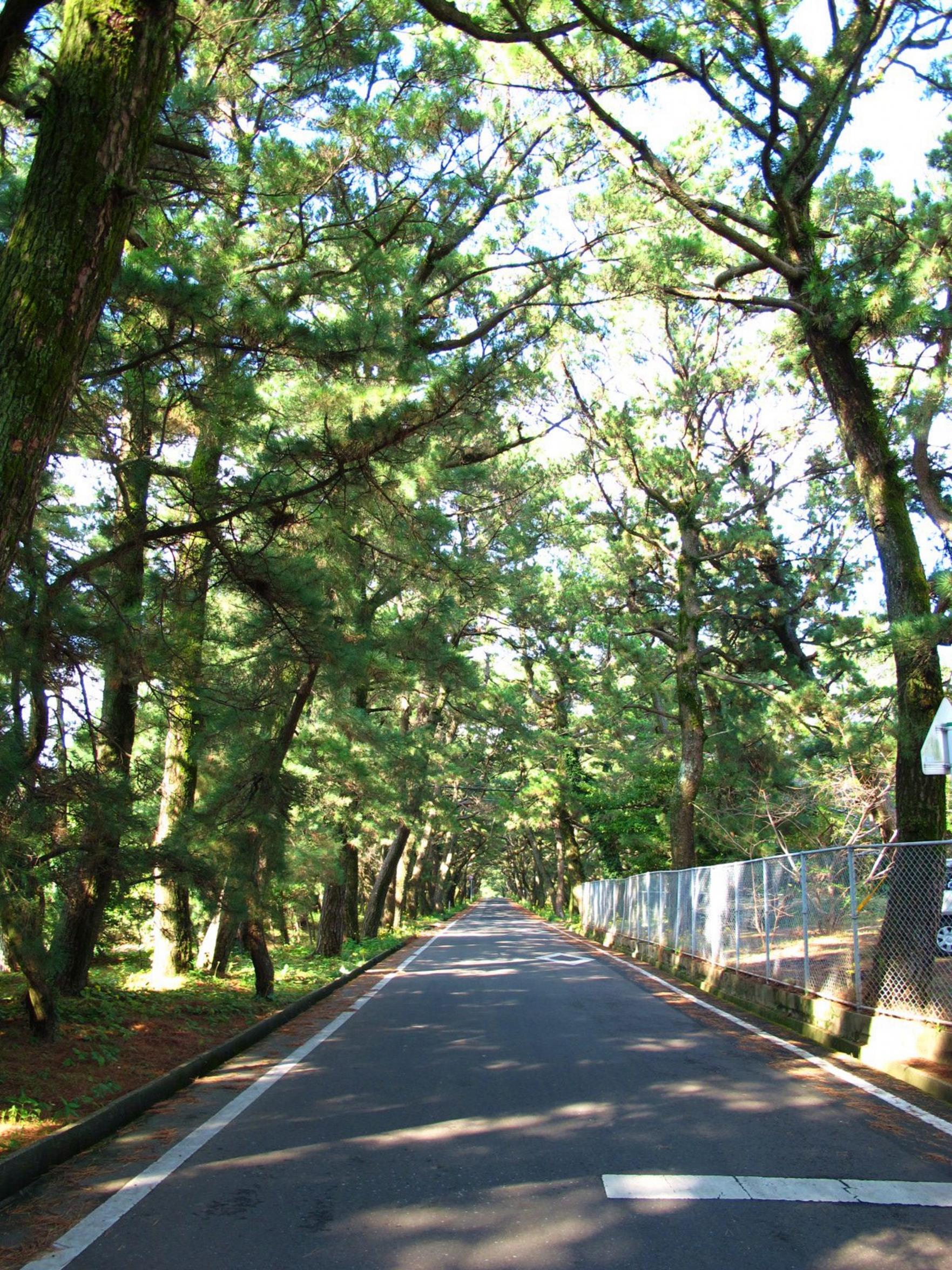 小値賀島-1