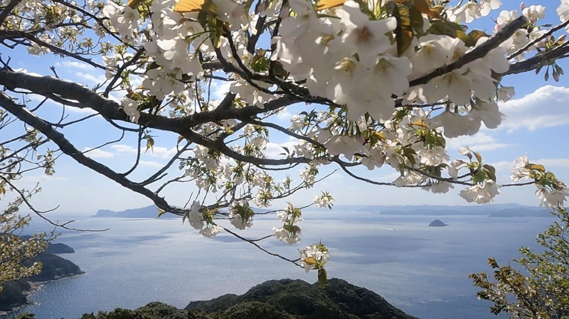 米山展望所-0