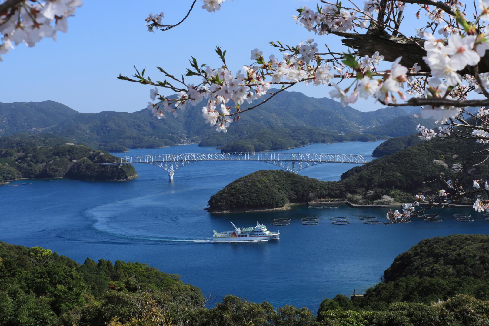 島の風景に、桜が咲く。／お花見情報-1