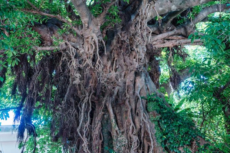 音声ガイドサービス〈ON THE TRIP〉-3