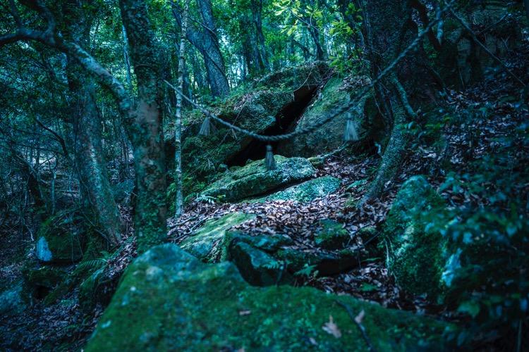 音声ガイドサービス〈ON THE TRIP〉-1