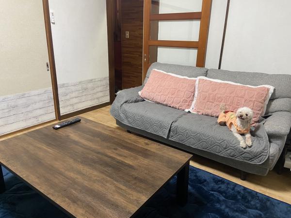 わんだふるHOUSE-0